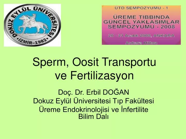 sperm oosit transportu ve fertilizasyon