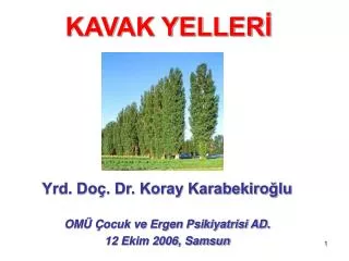 kavak yeller