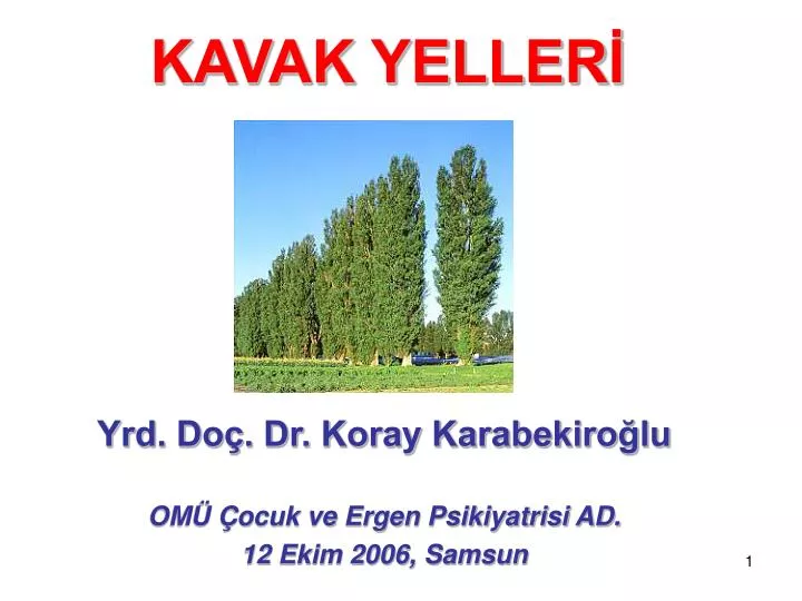 kavak yeller