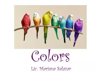 Colors Lic. Mariana Salazar