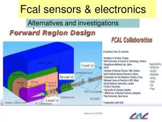 Fcal sensors &amp; electronics