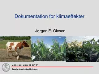 dokumentation for klimaeffekter