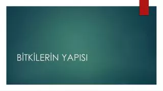 b tk ler n yapisi