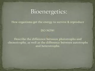 Bioenergetics: