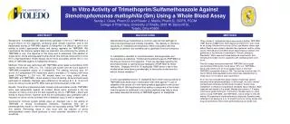 In Vitro Activity of Trimethoprim/Sulfamethoxazole Against