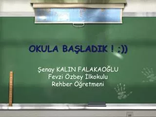 enay kalin falakao lu fevzi zbey lkokulu rehber retmeni
