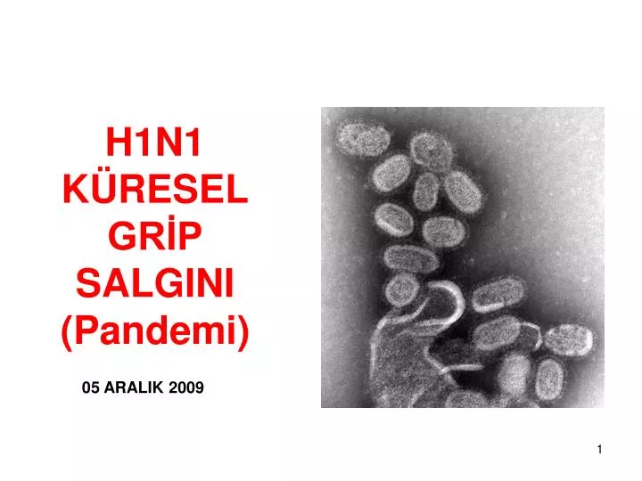 h1n1 k resel gr p salgini pandemi