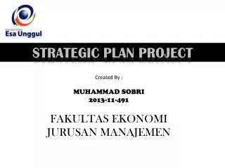 StrategiC pLAN project