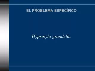 el problema espec fico