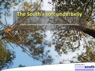 The South's soft underbelly (Open slideshow and presentation continues automatically)