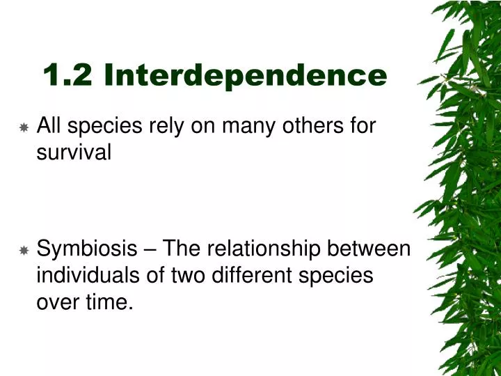 1 2 interdependence