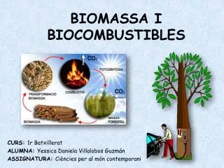 biomassa i biocombustibles