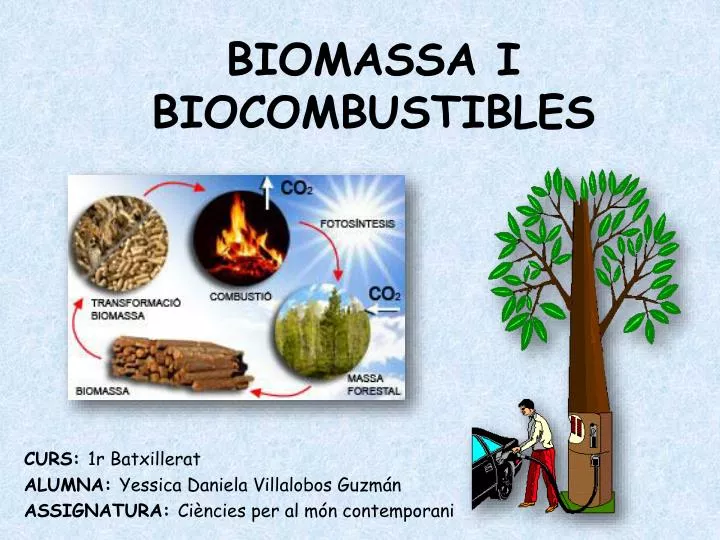 biomassa i biocombustibles