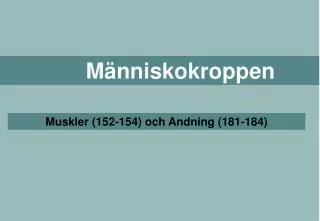 m nniskokroppen