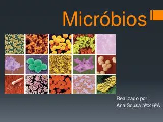 micr bios