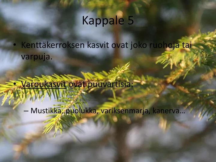 kappale 5