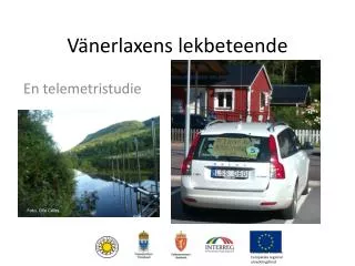 v nerlaxens lekbeteende