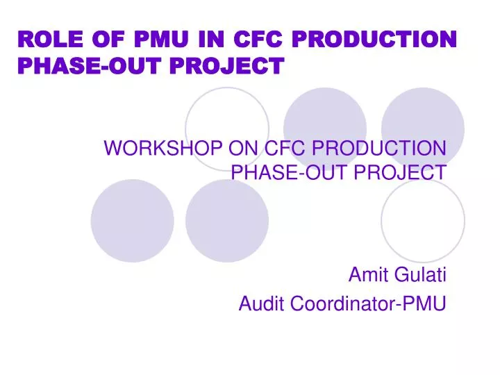 role of pmu in cfc production phase out project