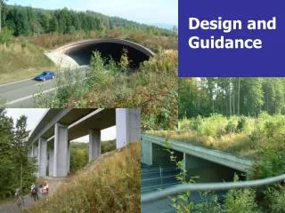 Design and Guidance