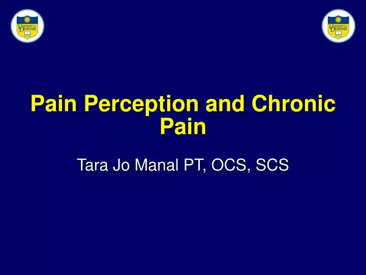 pain perception and chronic pain