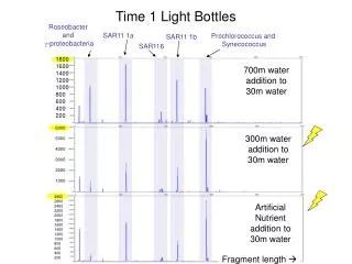 Time 1 Light Bottles