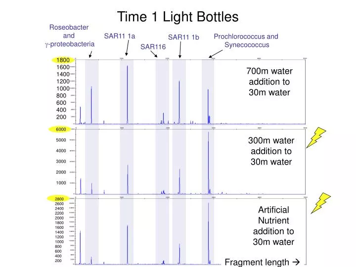 time 1 light bottles