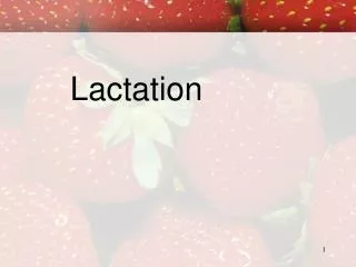 Lactation