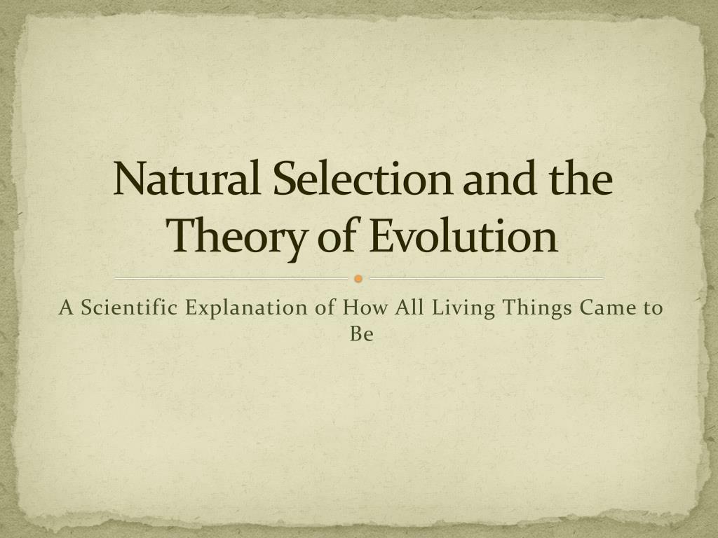 PPT - Natural Selection and the Theory of Evolution PowerPoint ...