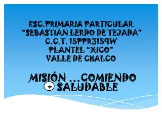 esc primaria particular sebastian lerdo de tejada c c t 15ppr3159w plantel xico valle de chalco
