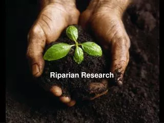 Riparian Research