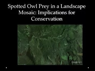 Spotted Owl Prey in a Landscape Mosaic: Implications for Conservation