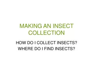 MAKING AN INSECT COLLECTION
