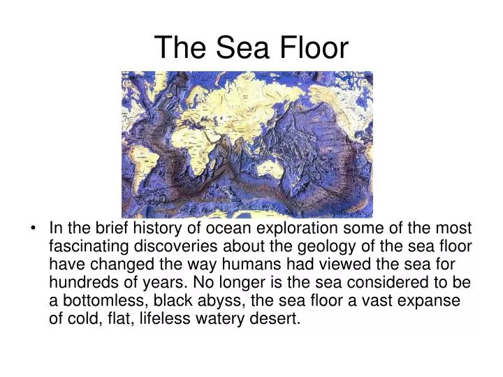 the sea floor