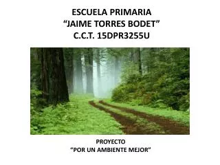 escuela primaria jaime torres bodet c c t 15dpr3255u