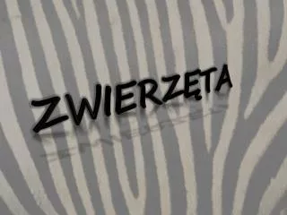 zwierz ta