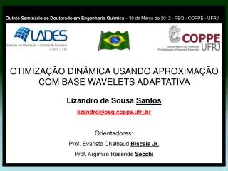 Lizandro de Sousa Santos lizandro@peq.coppe.ufrj.br Orientadores: