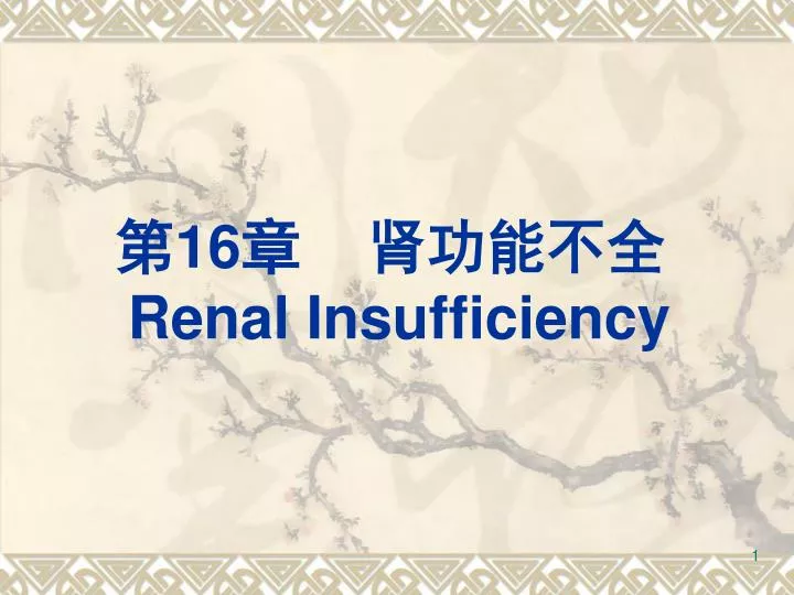 16 renal insufficiency