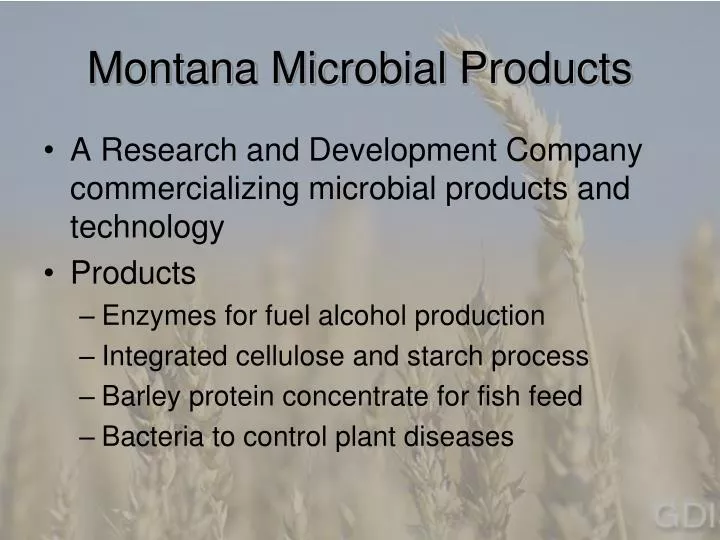montana microbial products