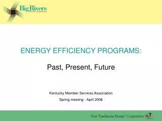ENERGY EFFICIENCY PROGRAMS: