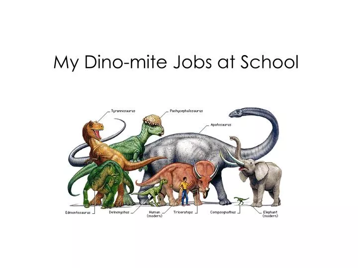 my dino mite jobs at school