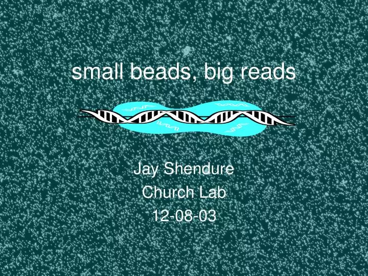 small beads big reads