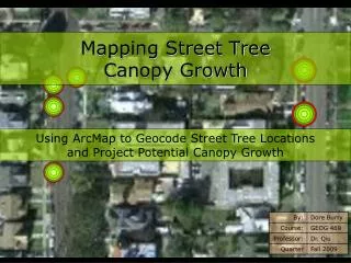 Mapping Street Tree Canopy Growth