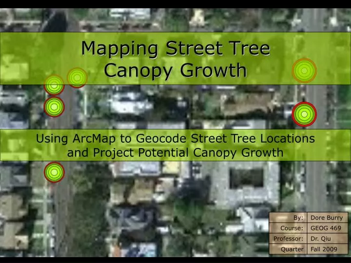 mapping street tree canopy growth