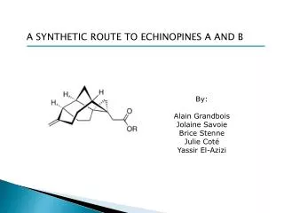 A SYNTHETIC ROUTE TO ECHINOPINES A AND B