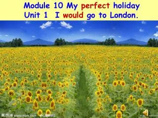 Module 10 My perfect holiday Unit 1 I would go to London.