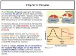 Chapter 6: Enzymes