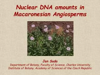 Nuclear DNA amounts in Macaronesian Angiosperms