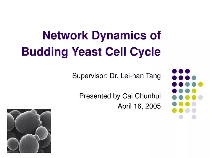 network dynamics of budding yeast cell cycle