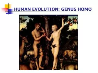 HUMAN EVOLUTION: GENUS HOMO