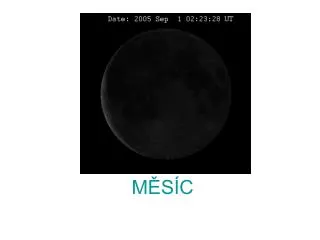 m s c